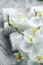 White Orchid on wooden background with towel Royalty Free Stock Photo