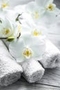 White Orchid on wooden background with towel Royalty Free Stock Photo