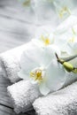 White Orchid on wooden background with towel Royalty Free Stock Photo