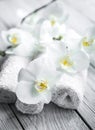 White Orchid on wooden background with towel Royalty Free Stock Photo