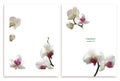 White orchids. Beautiful exotic flowers. Tropical background. Petals. Flower pattern. Pearls. Jewelry.