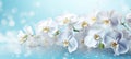 White orchids bouquet against sparkling blue background with bokeh. Banner with copy space. Ideal for poster, greeting Royalty Free Stock Photo