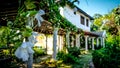 White orchids hanging down in front of an old villa