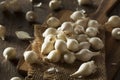 White Organic Pearl Onions Royalty Free Stock Photo