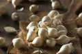 White Organic Pearl Onions Royalty Free Stock Photo