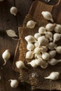White Organic Pearl Onions Royalty Free Stock Photo