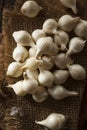 White Organic Pearl Onions Royalty Free Stock Photo