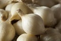 White Organic Pearl Onions Royalty Free Stock Photo