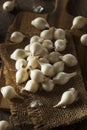 White Organic Pearl Onions Royalty Free Stock Photo