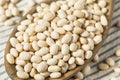 White Organic Raw Navy Beans Royalty Free Stock Photo