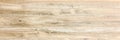 White Organic Wood Texture. Light Wooden Background. Old Washed Wood Royalty Free Stock Photo