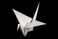 White origami crane, tsuru, on black background