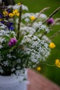 White outdoor vase with meadow flowers, herbs and grass. A colorful variety of summer wildflowers. Royalty Free Stock Photo