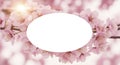 White Oval Frame with Pink Flowers Royalty Free Stock Photo