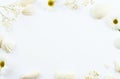 White on white overhead image of seashells and flowers on a white background. Royalty Free Stock Photo