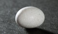 White ovoid stone Royalty Free Stock Photo