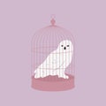 White owl on the cage. Royalty Free Stock Photo