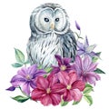 White owl and flowers on an isolated white background. Watercolor illustration, poster with owl decorated with clematis Royalty Free Stock Photo