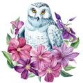 White owl and flowers on an isolated white background. Watercolor illustration, poster with owl decorated with clematis Royalty Free Stock Photo