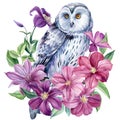 White owl and flowers on an isolated white background. Watercolor illustration, poster with owl decorated with clematis Royalty Free Stock Photo