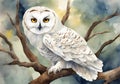 White owl in the forest, watercolor illustration. Royalty Free Stock Photo