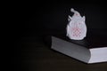 White Owl Statuette Nightlight With Red Lights On Old Book Royalty Free Stock Photo