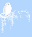 White owl xmas vector design