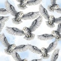 White Owls Flying in Cloudy Sky Royalty Free Stock Photo