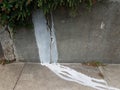 white paint dripping down grey cement wall with green plant