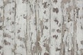 White paint peeling off grunge wood wall