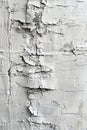 White paint peeling off a wall Royalty Free Stock Photo