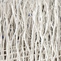White painted branches give Royalty Free Stock Photo