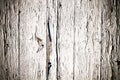 White painted old cracked wood background. Grungy and weathered white grey painted peeling wooden wall plank texture background Royalty Free Stock Photo