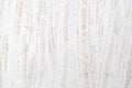 White painted wood texture seamless rusty grunge background, Scratched white paint on plywood chipboard surface made of recycled Royalty Free Stock Photo