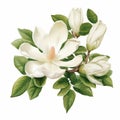 Realistic Vector Illustration Of A White Magnolia Flower