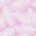 White palm leaves on a pink background exotic tropical hawaii se