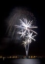 White Palms Fireworks Royalty Free Stock Photo