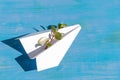White paper airplane lies on a wooden blue background. On it is a green twig of a plant as a symbol of life. View from above.