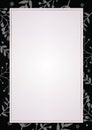 White paper background with drawing floras border