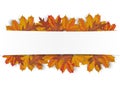 White Paper Banner Autumn Foliage