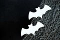 White paper bats lie on a black background with cobwebs