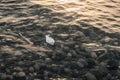 White paper boat floats on water with waves and ripples. Royalty Free Stock Photo