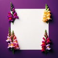 white paper with a border of snapdragons around it. colorful background, Floral Background Royalty Free Stock Photo