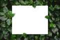 White paper card on flat lay green leaves texture top view background. Creative layout in nature concept Royalty Free Stock Photo