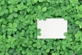 White paper card note on green leaves background Royalty Free Stock Photo