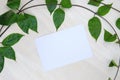 White paper card top view with leaf branch. Blank postcard horizontal photo. Clean fresh flat lay composition