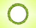 White paper circle made of green leaves