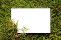 White Paper Copy Space on Natural Moss Background