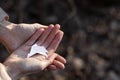 White paper dove origami in the hands of a girl. Royalty Free Stock Photo