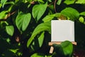 White paper empty copy space for advertisement on farm harvesting background of eco-friendly sustainable growth green Royalty Free Stock Photo